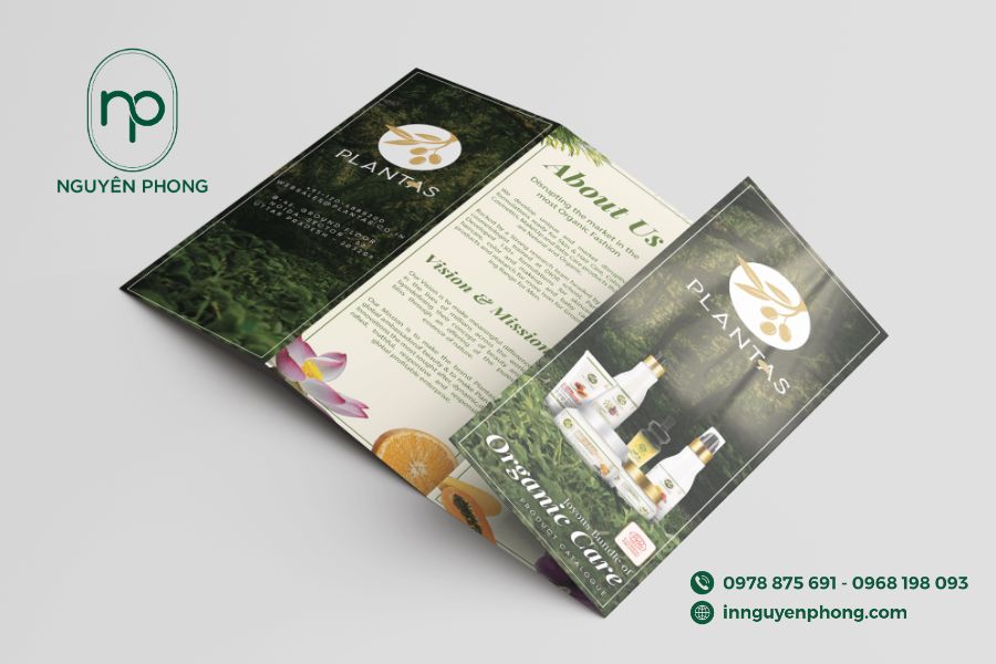 kich-co-brochure-in-nguyen-phong